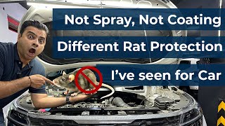 Different amp effective Rat Protection for your car [upl. by Mohandas989]