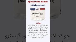 Spasler Neo Tablet Uses in Urdu  Mebeverine Tablet [upl. by Devonne601]