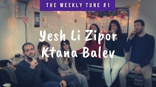 The Weekly Tune 1  Yesh Li Zipor Ktana Balev  Yigal Bashan Live A Cappella cover [upl. by Eniahpets]