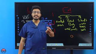 CiliaFlagellaInclusions amp Pigments  General Histology Lec 2 Part 3  Dr Amro Ashraf [upl. by Batchelor]