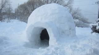 Common Questions About Igloos [upl. by Marola879]