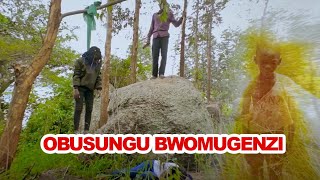 OBUSUNGU BWOMUGENZI UGANDAN MOVIE 1080p [upl. by Brandenburg]