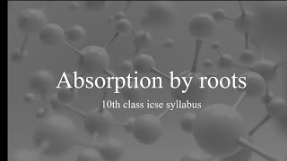 absorptive by roots class 10 icse [upl. by Sosanna]