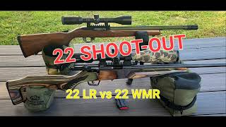 22 Shootout 22 LR vs 22 WMR [upl. by Pubilis]