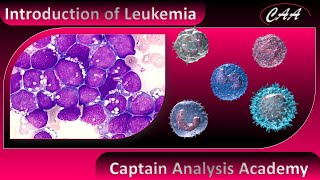 E1 Leukemia Introduction cancer [upl. by Matteo95]