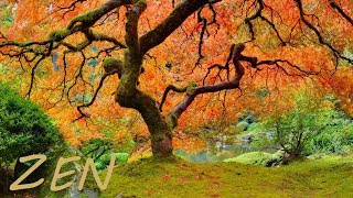 Zen Garden Relaxing Music and Nature  Asian Far East Instruments [upl. by Arsuy]