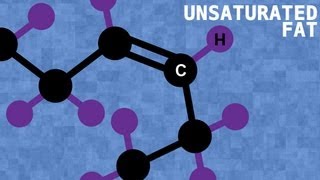 Saturated vs Unsaturated Fats  Bite Scized [upl. by Wun]