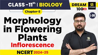 Class 11 Biology Chapter 5  Morphology in Flowering Plants  Inflorescence  L36  Shubham Sir [upl. by Darcie]