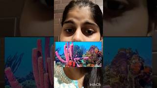 PORIFERA IN A MINUTE PART 3 neet neet2024 ncert biology porifera trending [upl. by Ltsyrk]