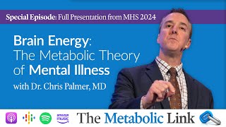 Dr Chris Palmer  Brain Energy The Metabolic Theory of Mental Illness  The Metabolic Link Ep 47 [upl. by Sucramraj]