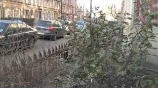 Exposed Shocking living conditions in Glasgows Govanhill [upl. by Vanna271]