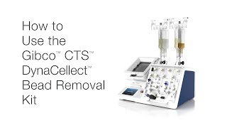 How to Use the Gibco CTS DynaCellect Bead Removal Kit 224 [upl. by Nauqed226]