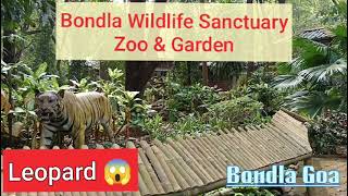 Watched leopard and animalsvisited bondla widelife sanctuary nature wildlifeanimals wildlife [upl. by Araf190]