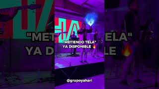 Ay metiendo tela 💃 😂yahari cumbia live metiendo tela [upl. by Hguh]