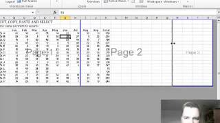 Excel Video 224 Page Break Preview [upl. by Ludwigg]