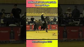 DOÑA RUBY DE LA FORTUNANACIONAL 2023 troteygalope shortsvideo horse [upl. by Ahsiki]