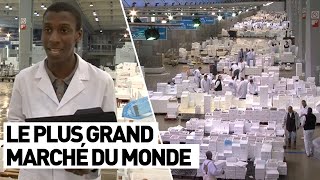 LE PLUS GRAND MARCHÉ DU MONDE Rungis [upl. by Reagan]