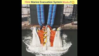 How marine evacuation system works shorts [upl. by Ysac]