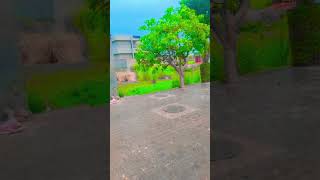 sun sun Barsat Ki Dhun sun Barish ka Mausam  shortvideo barish song [upl. by Nerland]