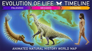 EVOLUTION OF LIFE Timeline  Animated prehistoric world map [upl. by Rauch]