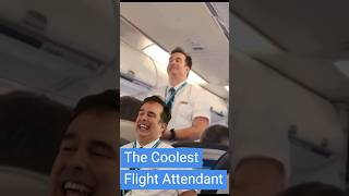 Meet the Coolest Flight Attendant on WestJet [upl. by Garrot]