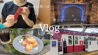 Vlog│20代会社員の休日│ハリポタ鑑賞│購入品紹介 [upl. by Cadmarr]