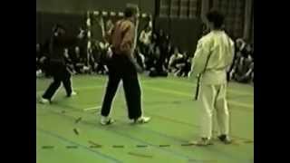 Pencak Silat VS Karate [upl. by Nannarb]