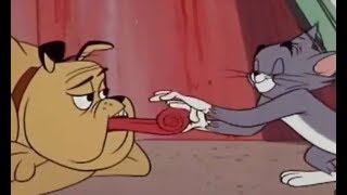 Tom And Jerry  Much Ado About Mousing 1964  TampJ Movie Cartoon For Kids [upl. by Yslehc]