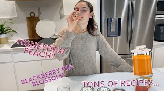 Tasting our HOMADE Kombucha Recipes  Unique flavors to fix your gut [upl. by Sarette]