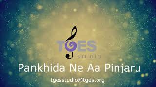 Pankhida Ne Aa Pinjaru  TGES Studio  TGES Live [upl. by Siloam775]