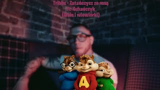 Tribbs  zatańczysz ze mną ft kubańczyk alvin i wiewiórki [upl. by Ynomrah498]