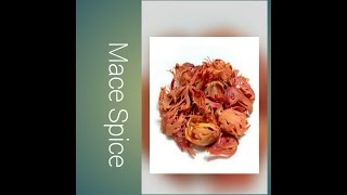 Surprising Benefits of Mace  Mace Spice  Spice and Herbs Aids in Digestion Kindly Like Subscribe [upl. by Millicent]