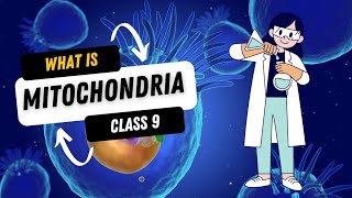 What is mitochondria Science class 9 [upl. by Otreblig]