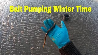 Trying to get the elusive winter lugworm [upl. by Hafital]