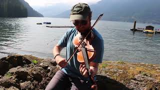 Maids of Castlebar  Day 254  366 Days of Fiddle Tunes [upl. by Latton]