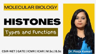 Histones  Types and Functions  Histones CSIR NET  Dr Pooja K [upl. by Salvador]