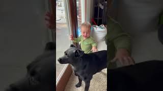 Baby and dog welcome their father after job [upl. by Emmuela544]