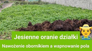 Jesienne oranie działki Nawożenie obornikiem a wapnowanie pola [upl. by Kinson]