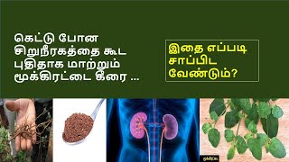 இந்த கீரையை பார்த்தால் இனி பிடுங்கி எறியாதீர்கள்  Amazing benefits of punarnava [upl. by Eulalee]