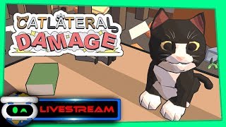 Catlateral Damage PSVR Gameplay [upl. by Gerta717]