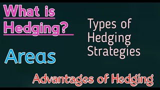 What is Hedging  Types of Hedging  Advantages of Hedging  Notes on Hedging [upl. by Llertnor]