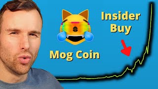 Insiders buy Mog Coin early ⚠ Mog Crypto Token Analysis [upl. by Russia]