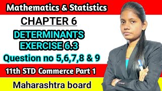 Determinants exercise 63 std 11th  Commerce maths part 1  class 11 Maharashtra board [upl. by Malda]