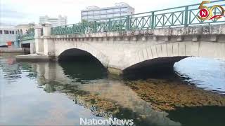 Nation Update Sargassum in the Careenage [upl. by Gnouc293]