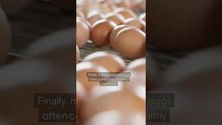 4 Reasons You Should Avoid Eating Eggs FOREVER [upl. by Williamson]