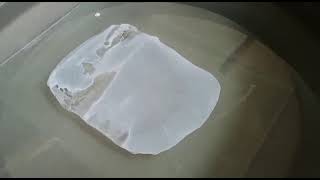 Flat Sheet Membrane Fabrication Polysulfone PS Membrane Casting Using Rod [upl. by Charlot]