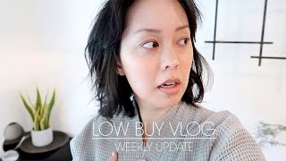 no more guilt  weekly low buy vlogs  Serein Wu [upl. by Redienhcs]