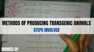 Methods of producing transgenic animals [upl. by Mika]