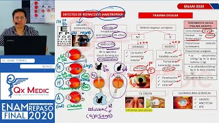 REPASO TEÓRICO  OFTALMOLOGÍA [upl. by Onitsuj]