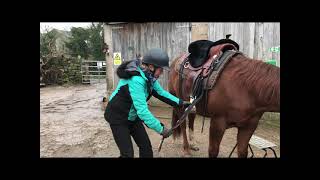 How to mount a western saddle without it slipping [upl. by Grand]